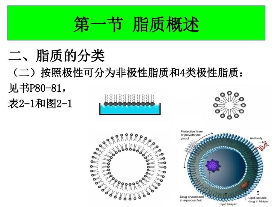 生物部分第二章 脂类_2010_第5页