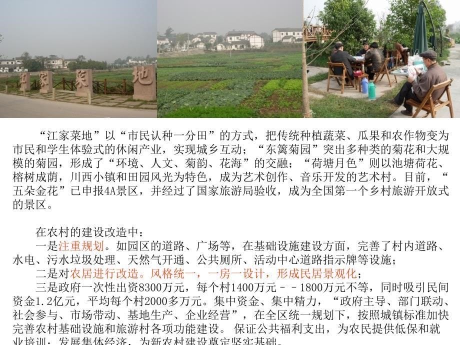 成都郫县和锦江区乡村旅游调研报告官方版_第5页