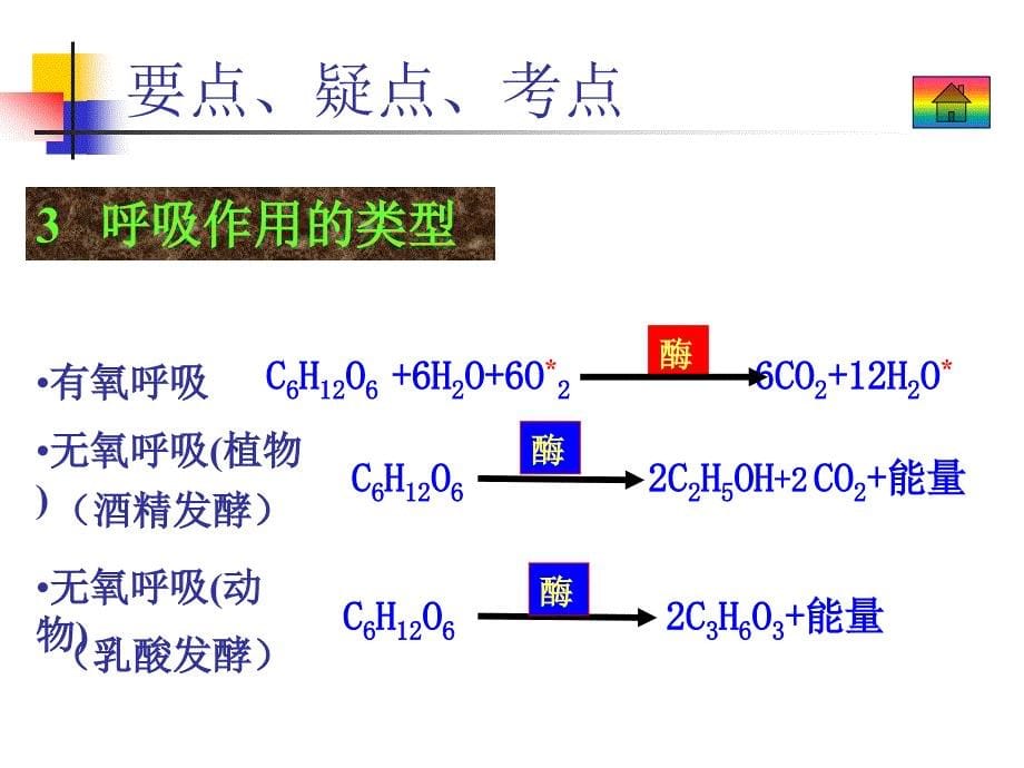 生物3.3呼吸作用_第5页