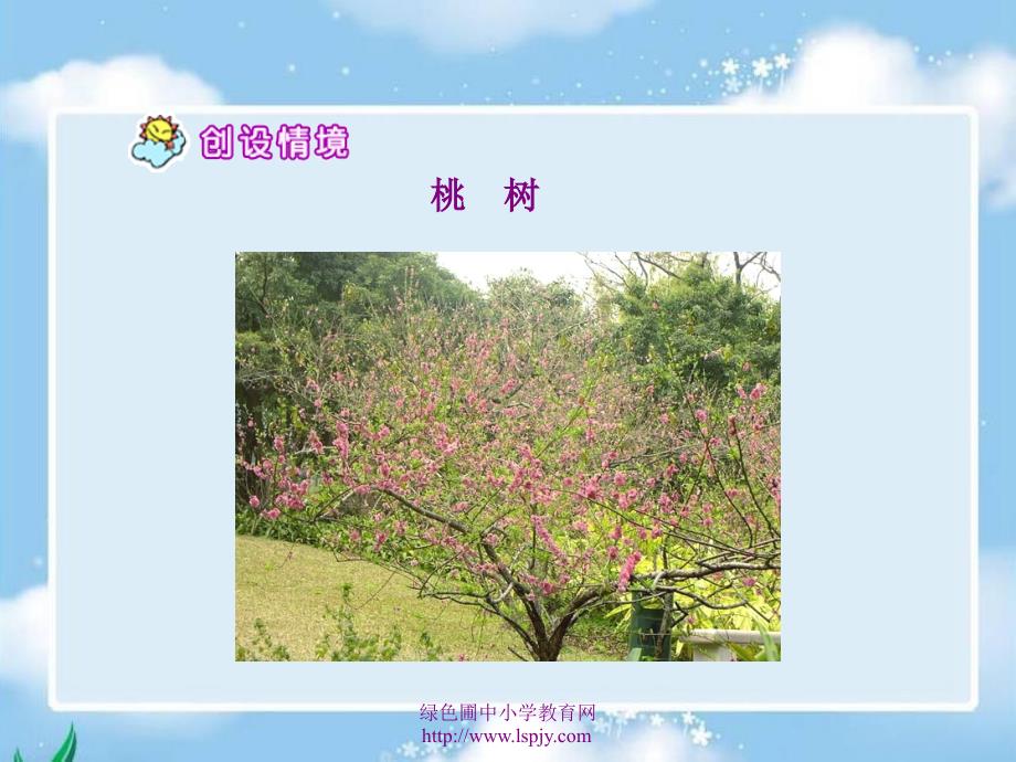 S版语文小学二年级下册《猴子种树课件》公开课教学课件_第4页