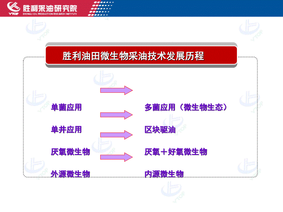 胜利油田微生物技术_第3页