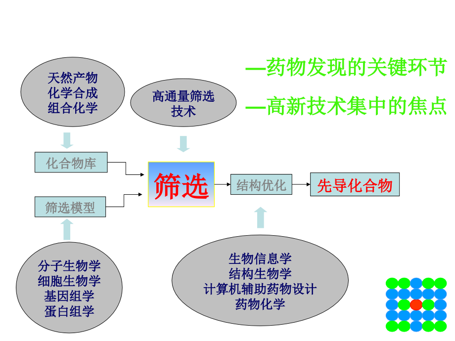 高通量药物筛选模型建立与筛选-生物在线_第4页