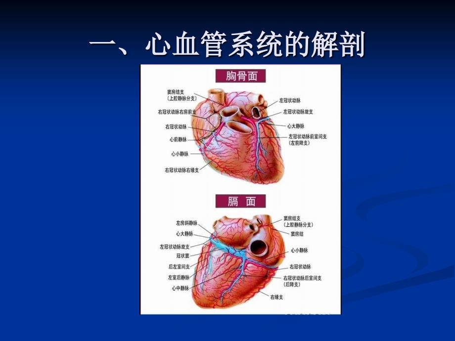 心脑血管系统疾病_第3页