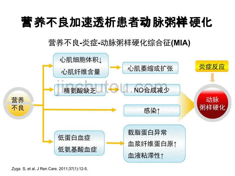 透析患者的营养治疗_第4页