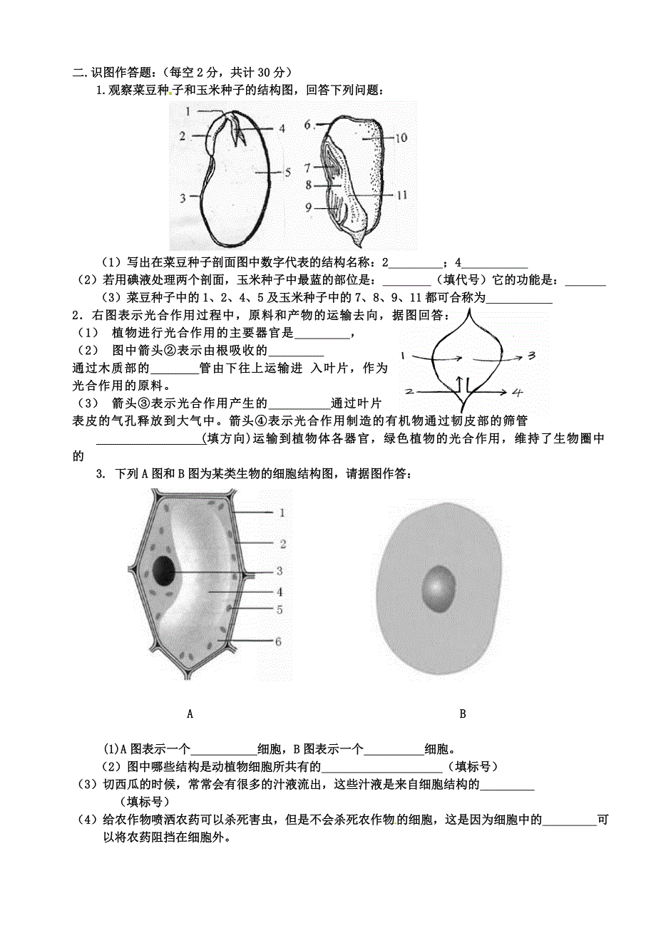 七年级下册生物学假期复习内容_第4页