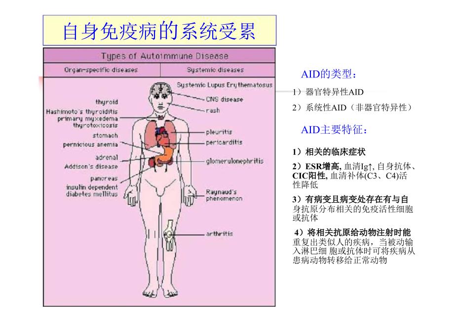 抗核抗体检测的质量要求及结果的合理判读_第4页