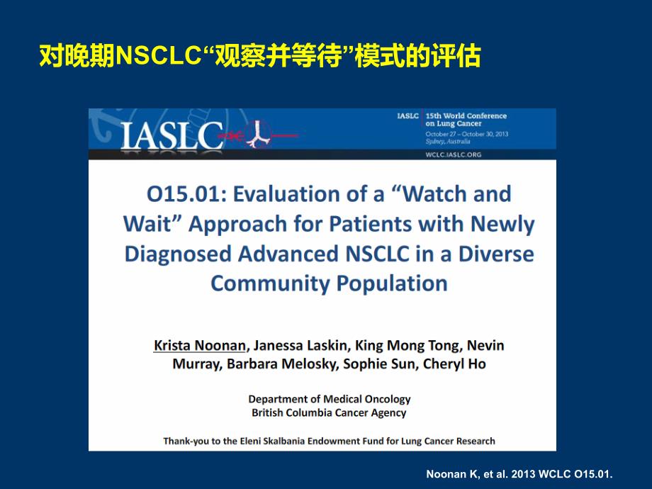 2013_wclc_nsclc_最新治疗进展_第3页