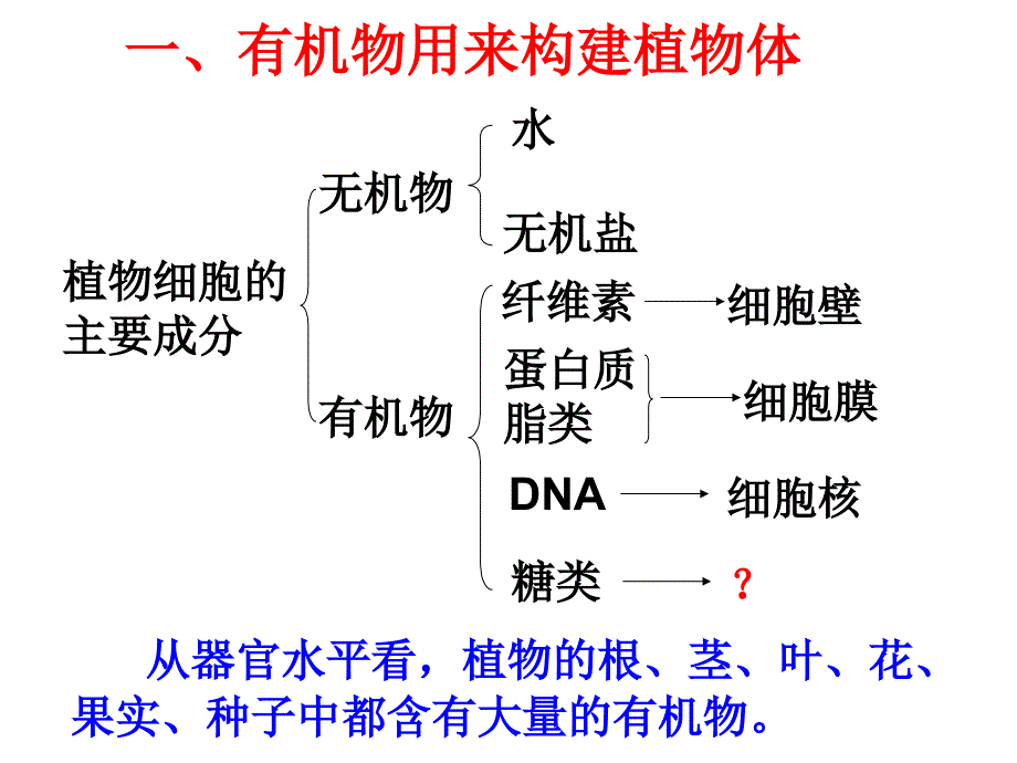 七年级生物植物的呼吸作用 (2)_第2页