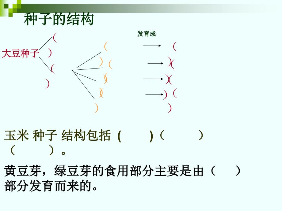 七年级生物上册末复习课件1_第2页