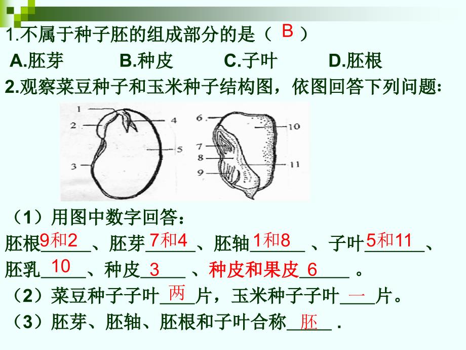 七年级生物上册末复习课件1_第4页