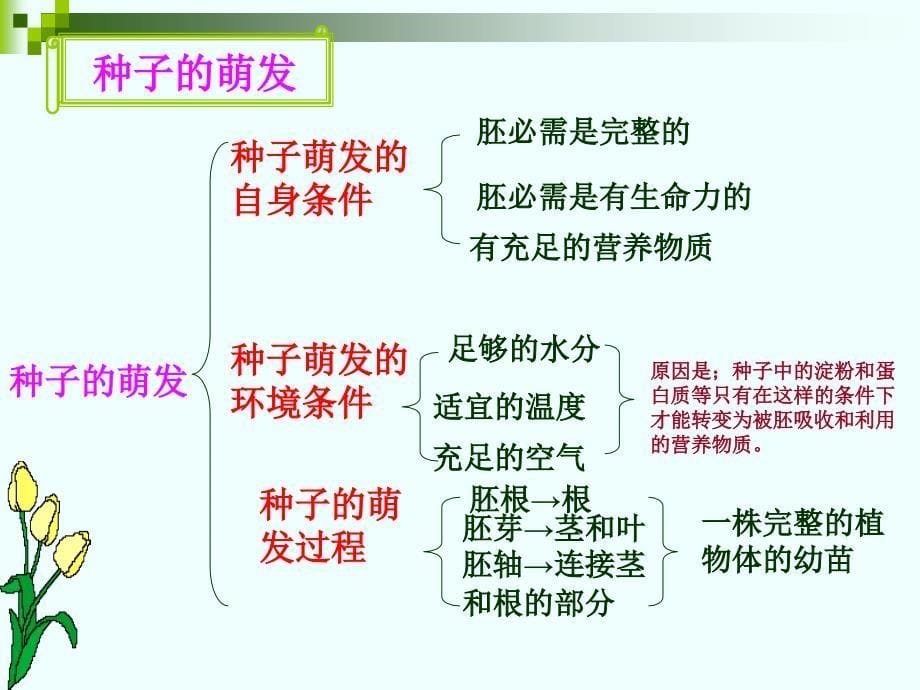 七年级生物上册末复习课件1_第5页