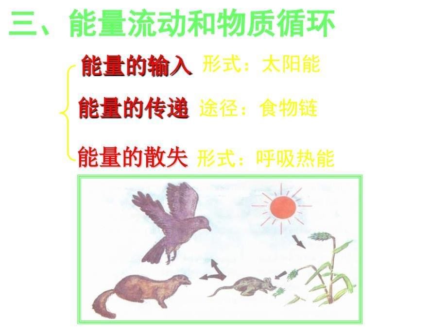 七年级生物生态系统3_第5页