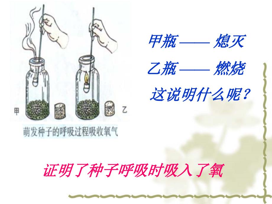 七上生物绿色植物的呼吸作用_课件_第4页