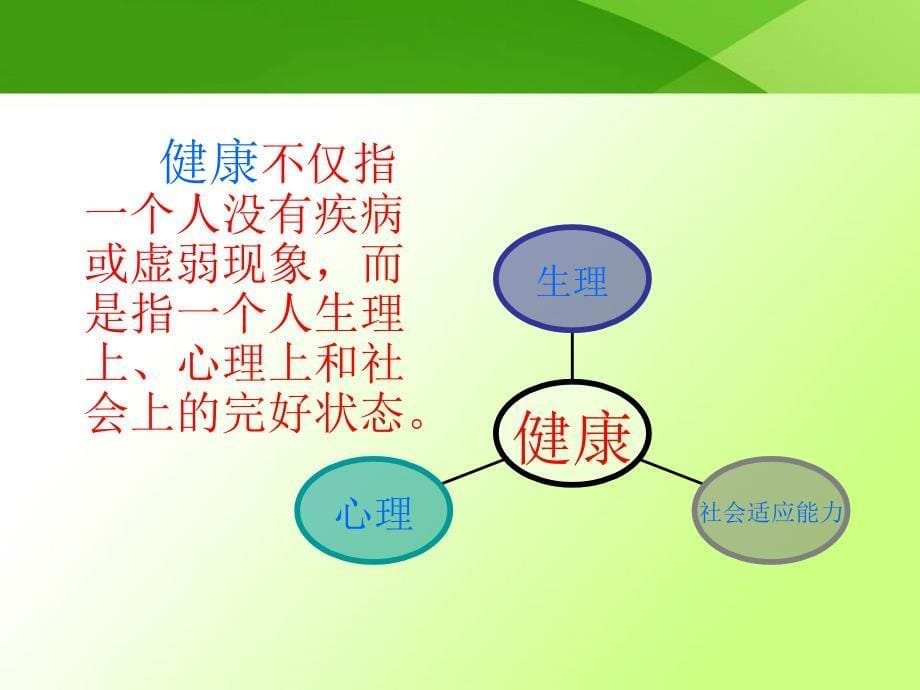 健康的四大基石 课件_第5页