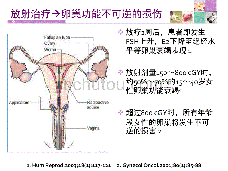 妇科恶性肿瘤(gc)_第5页