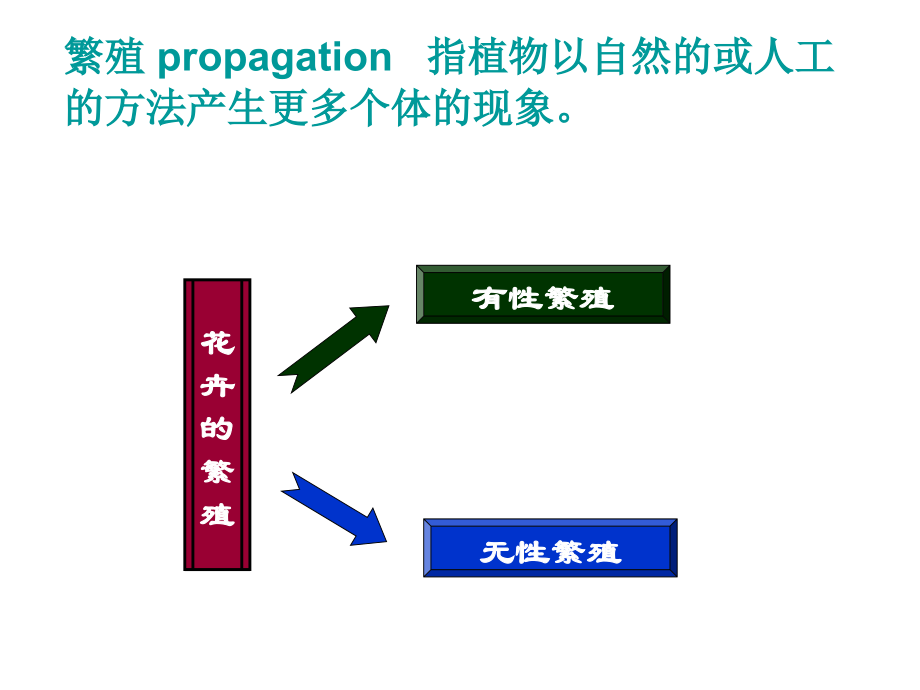 花卉的繁殖_第3页