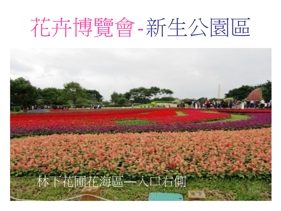 花卉博覽會-新生公園區_第2页