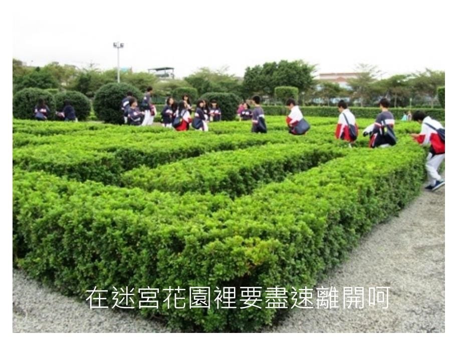 花卉博覽會-新生公園區_第5页