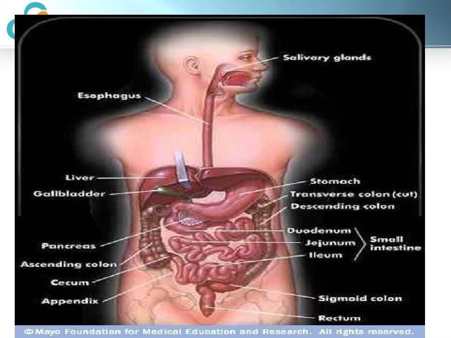 感染性腹泻(最新)_第5页