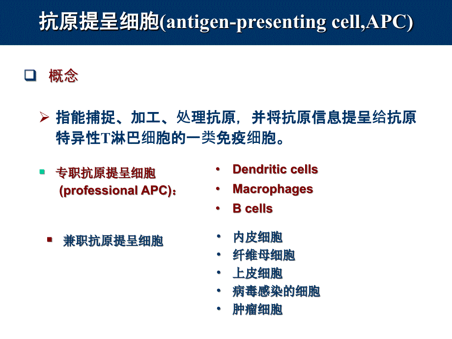 11_抗原提呈细胞与抗原的处理及提呈_第2页