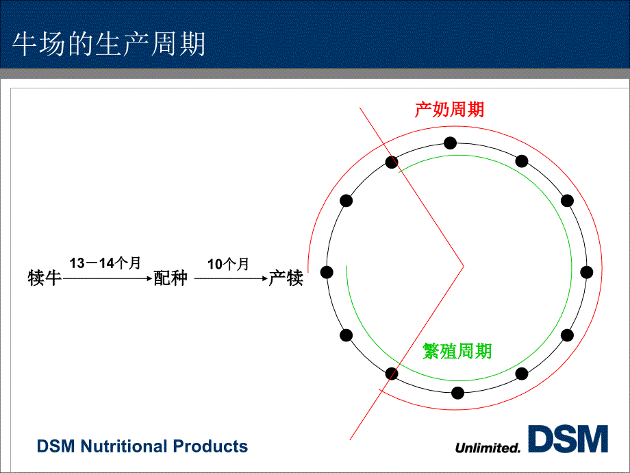 奶牛的营养(帝斯曼培训课件)_第3页