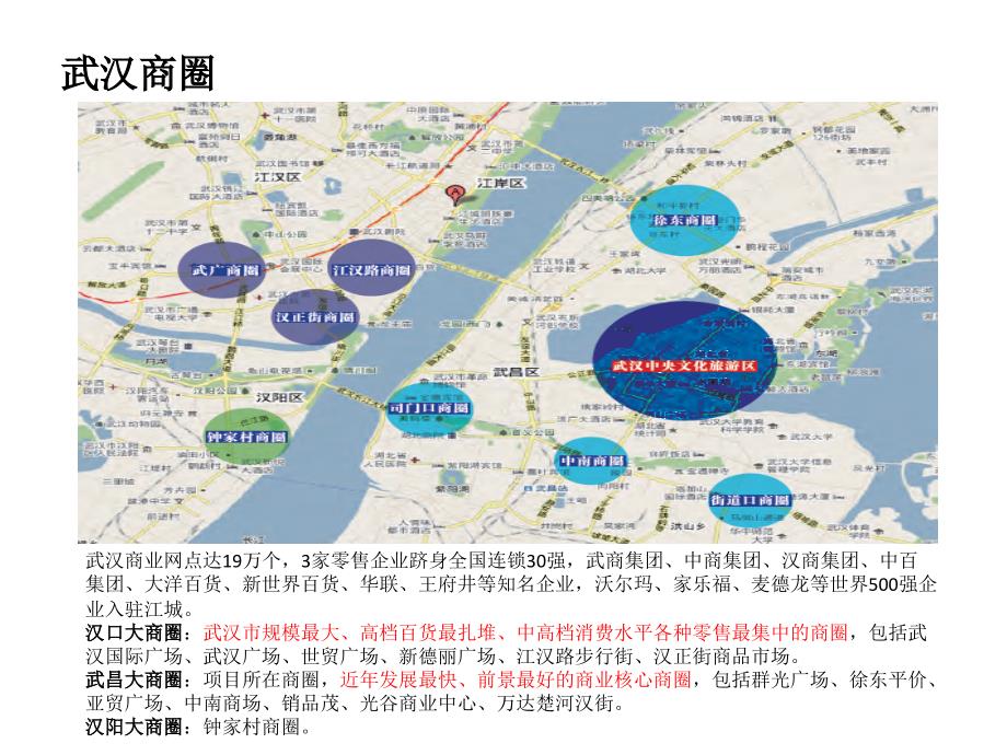 2011年武汉w达楚河汉街项目商业规划方案_第3页