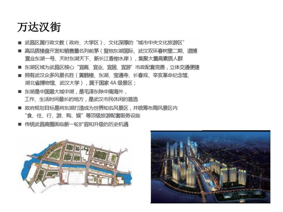2011年武汉w达楚河汉街项目商业规划方案_第5页