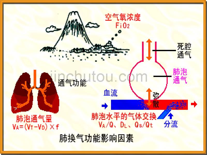 第四节血气分析和酸碱测定_第3页