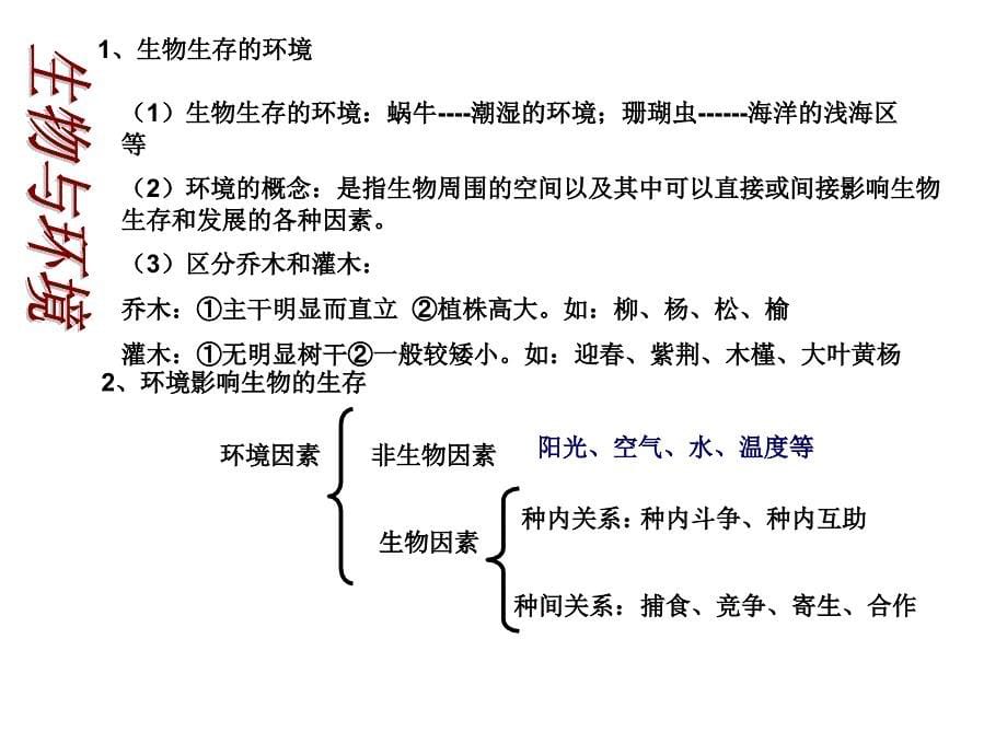 七年级生物上_第5页