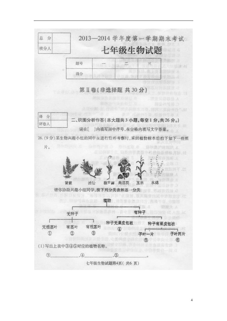 河北省定州市学年七年级生物上学期期末考试试题_第4页