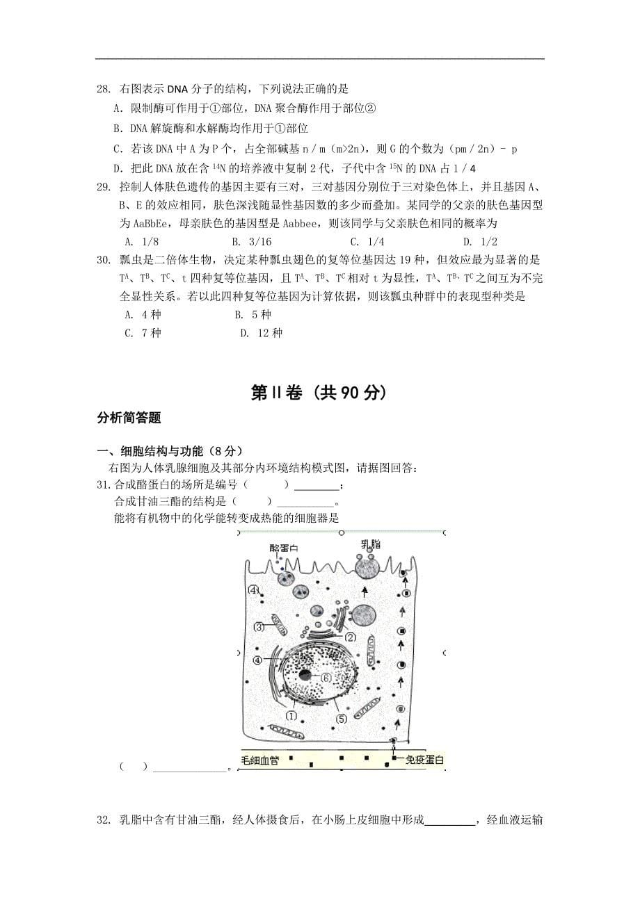 上海市2013届高三12月月考生物试题(无答案)_第5页