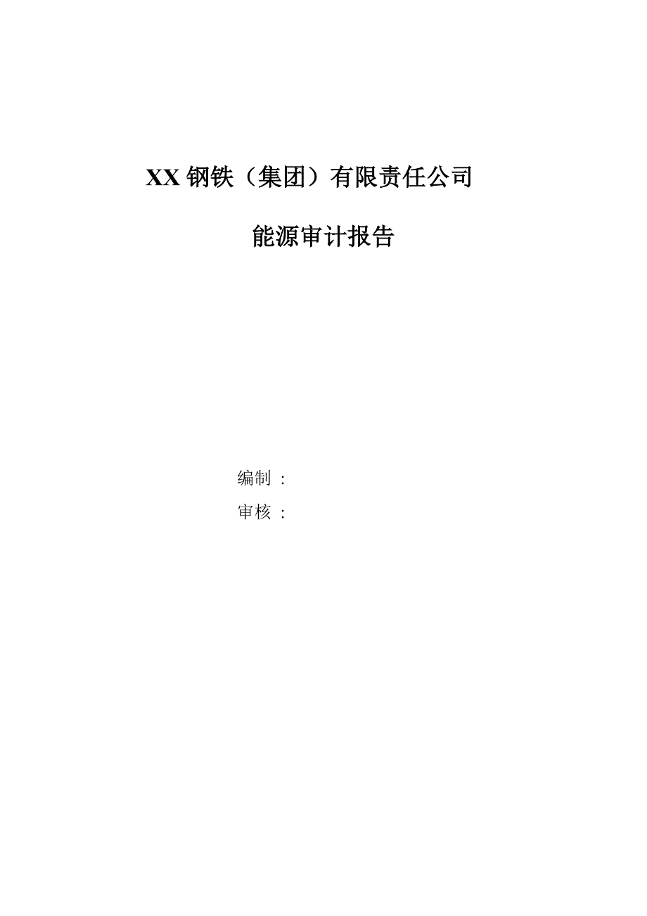 xx钢铁(集团)有限责任公司能源审计报告_第1页