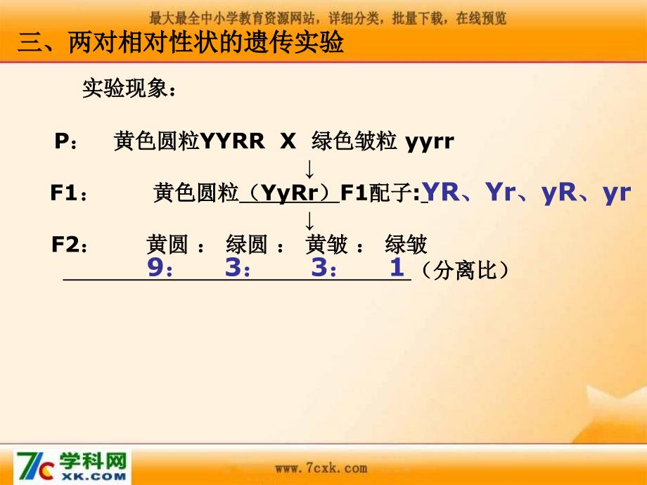 2016年春沪科版数学九年级下册26.4《概率原理在遗传学上的应用》ppt课件_第4页