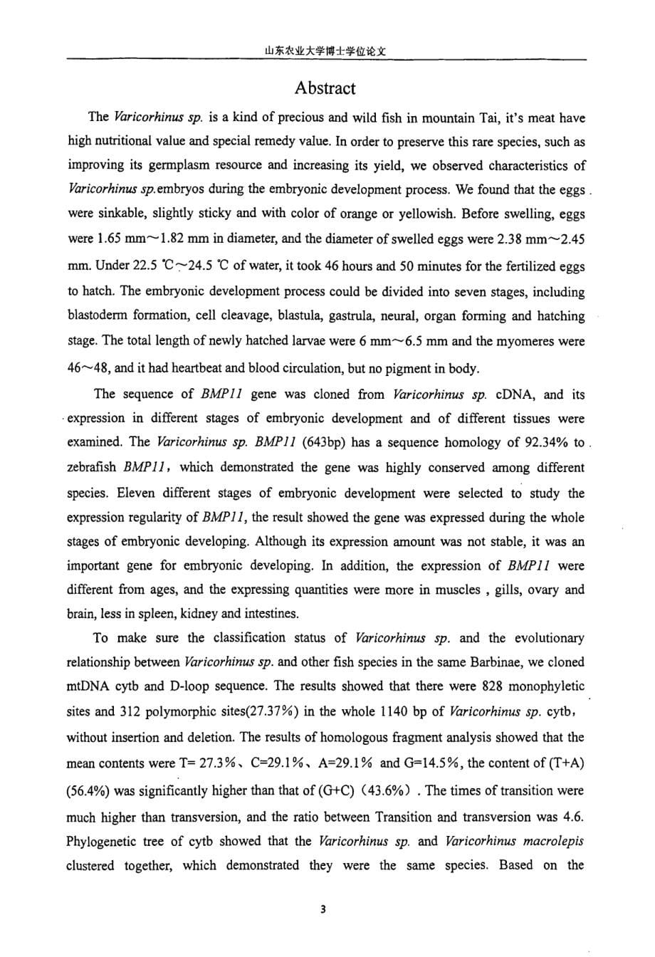 泰山赤鳞鱼BMP11基因表达规律及分子进化研究_第5页