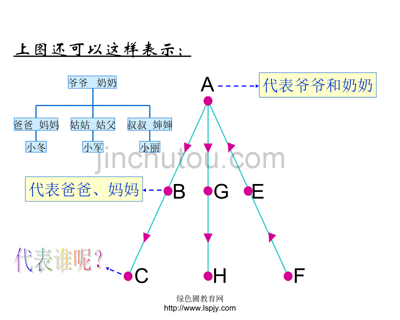 北师大版六年级上册数学成员间的关系PPT优秀课件下载_第4页