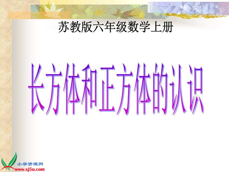 [数学课件]六年级上册《长方体和正方体的认识》PPT课件-苏教版_第1页