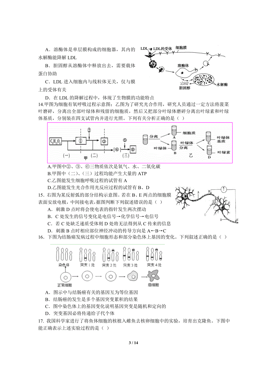 上海市徐汇区2013届高三生物二模试卷（含答案）_第3页