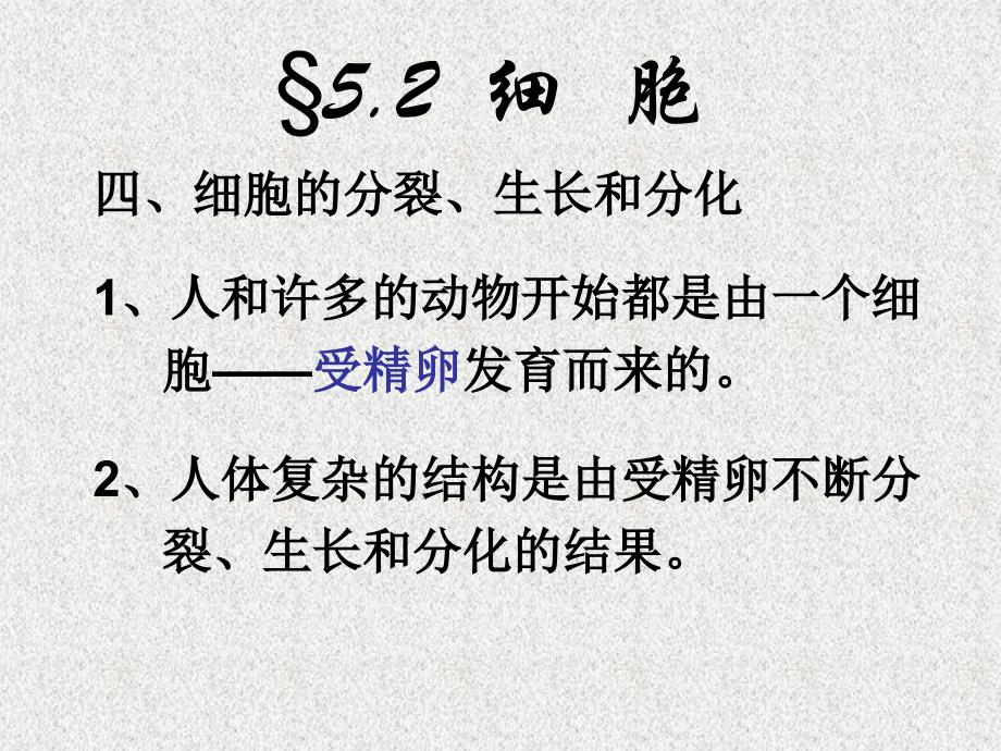 科学：5.2《细胞》课件2(华师大版七年级下)_第3页