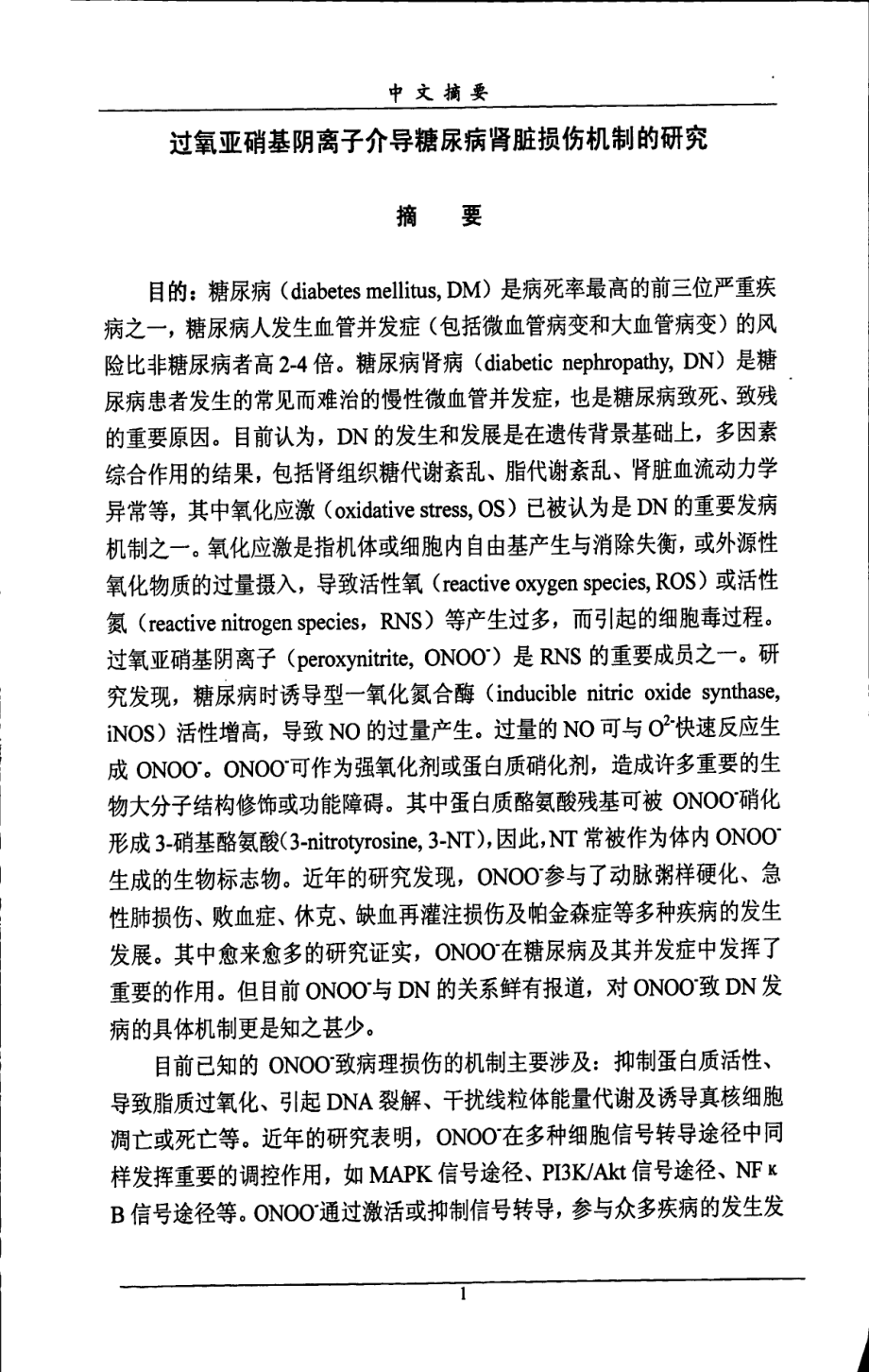 过氧亚硝基阴离子介导糖尿病肾脏损伤机制的研究_第4页