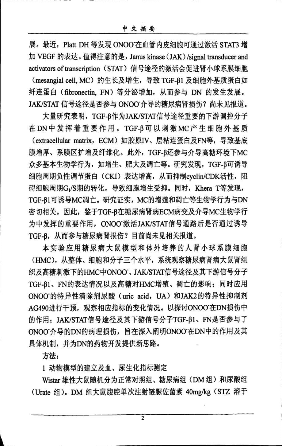 过氧亚硝基阴离子介导糖尿病肾脏损伤机制的研究_第5页