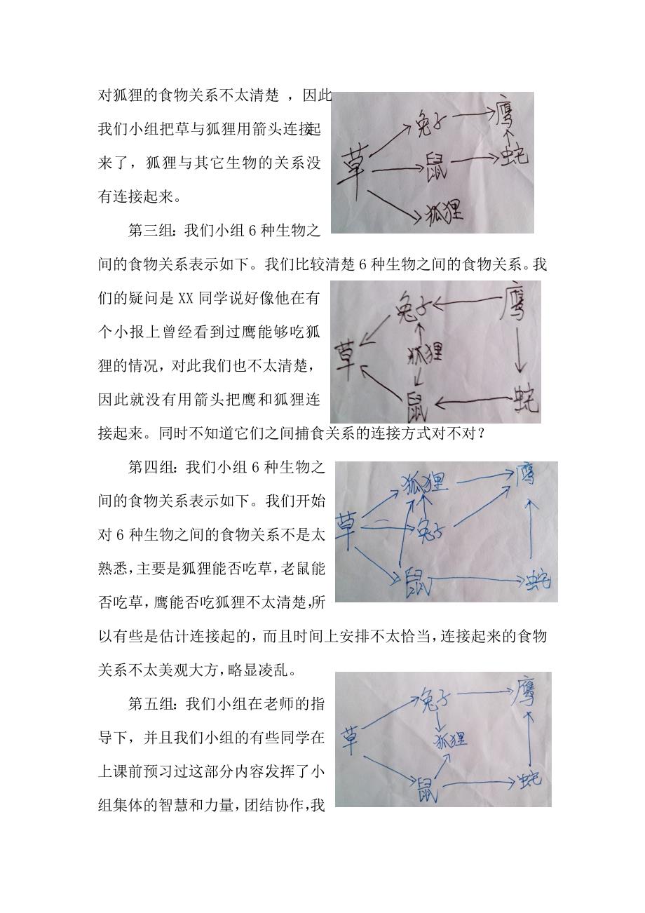 （曹绍清）构建食物链和食物网概念——生物卡片接龙活动_第4页