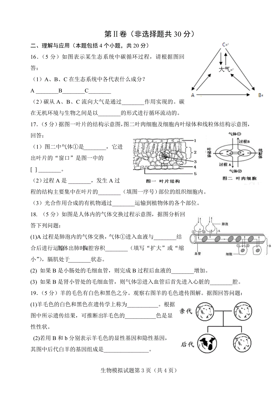 周村-2015模拟试题生物_第3页