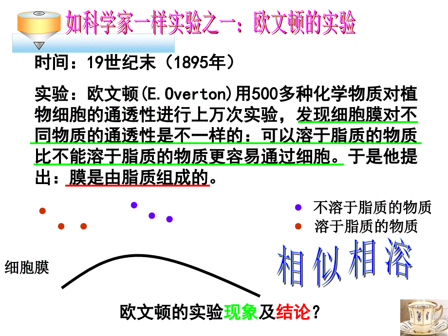 生物膜流动镶嵌模型3_第3页