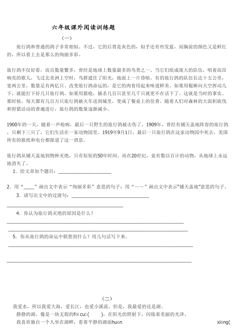 六年级上册课外课外阅读训练题_第1页