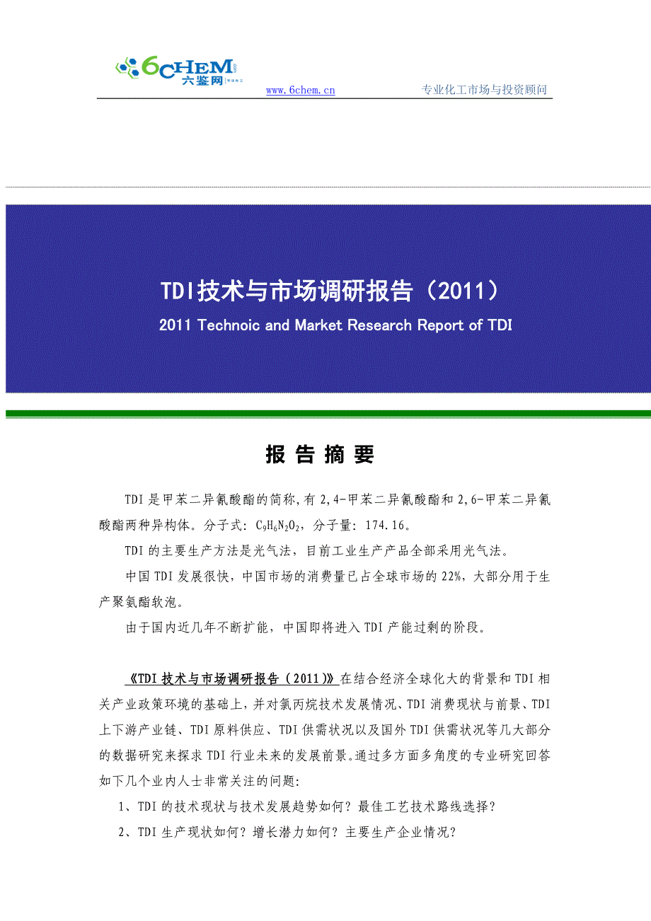 tdi技术与市场报告(201103简版)_第1页