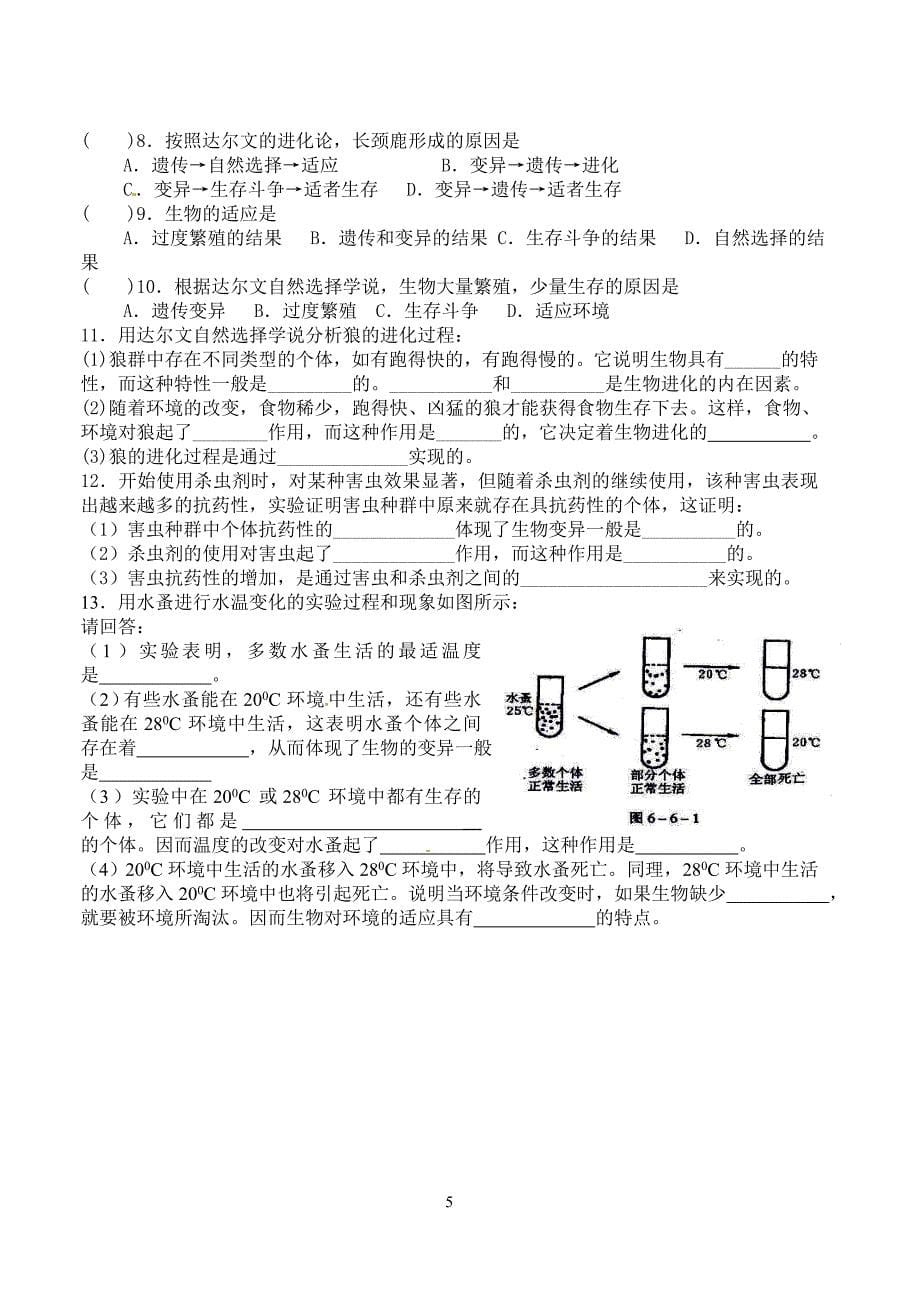 现代生物进化理论的由来学案_第5页