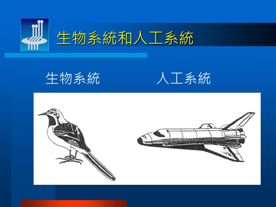 大脑的解题—神经网路简介_第4页