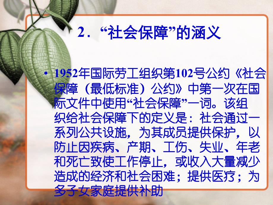 第十章  社区社会保障()_第2页