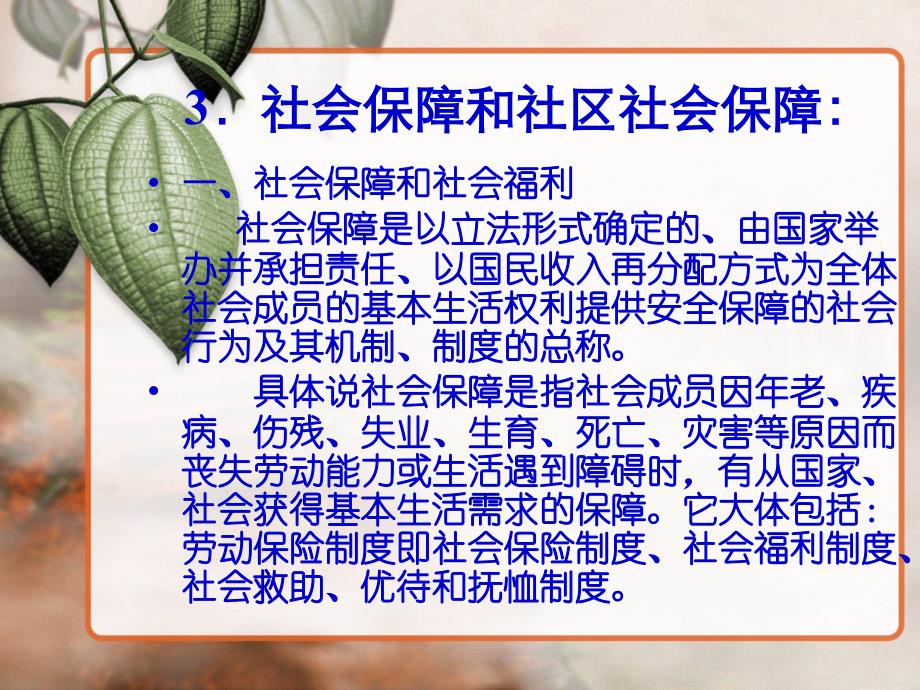 第十章  社区社会保障()_第3页