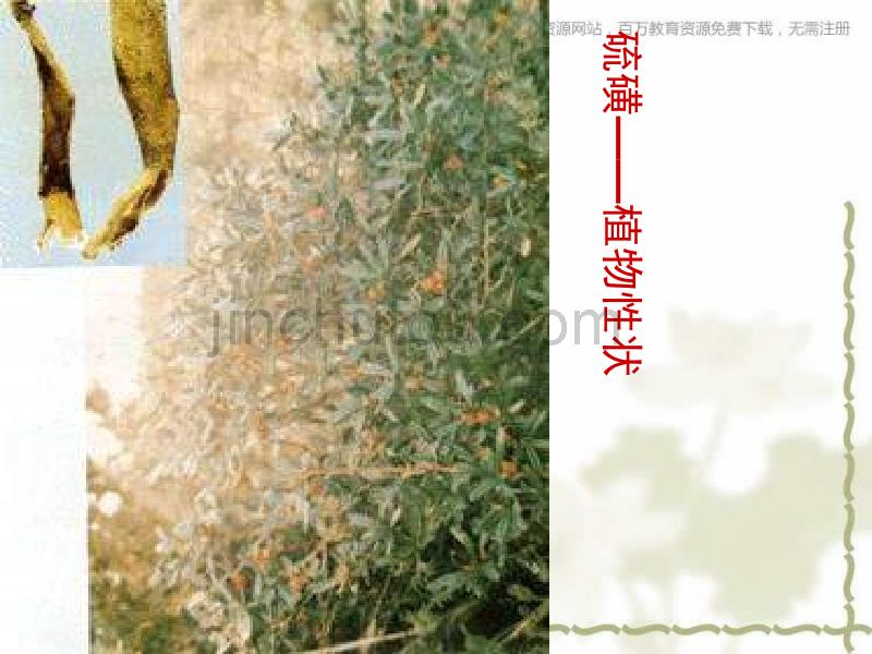 青岛版科学五上《各种各样的矿物》PPT课件2精品_第4页